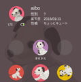 新型「aibo(アイボ)」が届いてまずやること、初期設定方法とは?