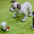 【レビュー】SONYの犬型ロボット「aibo(アイボ)」と散歩行ってきた!
