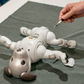 【aibo 解体新書】ソニーの本気を見た！ 新型aibo分解レポート