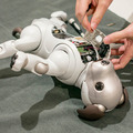【aibo 解体新書】ソニーの本気を見た！ 新型aibo分解レポート