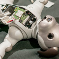 【aibo 解体新書】ソニーの本気を見た！ 新型aibo分解レポート