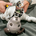 【aibo 解体新書】ソニーの本気を見た！ 新型aibo分解レポート