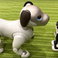 【アイボとあそぶ vol.2】シャープ「ロボホン」の言うことを聞くソニー「aibo」