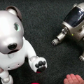 【アイボとあそぶ vol.3】新型aibo、初代AIBOに出会う