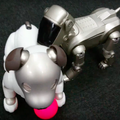 【アイボとあそぶ vol.3】新型aibo、初代AIBOに出会う