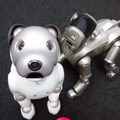 【アイボとあそぶ vol.3】新型aibo、初代AIBOに出会う