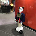 衝撃的な見た目の「パンダPepper」、浅草駅で客の視線を独り占め