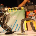 最多284台参加の二足歩行ロボット格闘競技大会、16年目の「ROBO-ONE」は誕生の地、日本科学未来館で開催！ 2月24～25日