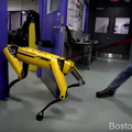 ロボットいじめの声も　ボストン・ダイナミクスの「SpotMini」、ドアを開けるのをひたすら邪魔される