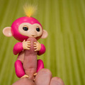 全米で大人気！ サル型ホビーロボット「Fingerlings（ハグミン）」レビュー