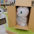 【存在感やばい】Pepperの「特大ぬいぐるみ」が先行で届いた！ 特別限定販売中