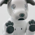 ソニーaibo専用の「足裏パッド」を発売予告。これでカタカタ音がなくなる !?