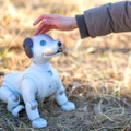 <p>シェア 0 ツイート 0 はてブ 0</p>