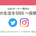ソニー「aiboとの生活をSNSへ投稿しよう！」キャンペーン実施中、ソフトウェアアップデート予告も！