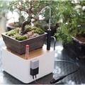 ソニーのIoT ブロック「MESH」にWindows版アプリが登場！プログラミング的思考でアイデアを形にできる