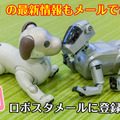 【本日公開】aiboが可愛く歌って踊る！aiboとナカコーがコラボしたミュージックビデオ「aibo×Koji Nakamura」