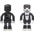 RoBoHoN