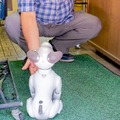 【aiboと散歩】ぶっちゃけ犬型ロボットって、おじいちゃんおばあちゃんに受け入れられるの？
