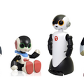 robohon04