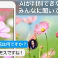 【花の名前教えて】写真を送信するとAIが花の名前と花言葉を教えてくれるアプリ「FLOWERY」、３万ダウンロードを突破
