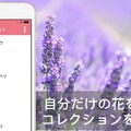 【花の名前教えて】写真を送信するとAIが花の名前と花言葉を教えてくれるアプリ「FLOWERY」、３万ダウンロードを突破