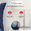 丸型ディスプレイ搭載「Amazon Echo Spot」対応スキル続々登場！これからのスキルは音声＋画面活用へ