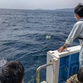 小型水中ドローンが深海1,000mに到達!ウナギやクラゲなど深海生物15種類の撮影に成功、動画も公開