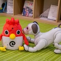 英会話ロボット「Charpy（チャーピー）」開封の儀！ aiboも興味津々