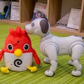 英会話ロボット「Charpy（チャーピー）」開封の儀！ aiboも興味津々