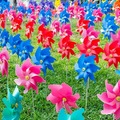 ソニーの技術を楽しむ「夏祭り」、7月12日から渋谷で開催　aiboとも遊べる