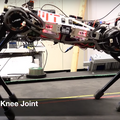 MIT開発の四足歩行ロボット「Cheetah 3」は大ジャンプができ、視覚情報なしで階段をのぼる