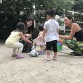 【aiboと散歩vol.3】子供にペットにするなら「犬かロボット」どちらがいいか聞いてみた！
