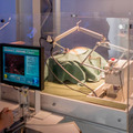 日本科学未来館で開催中の「デザインあ展」でロボット見てきた