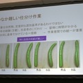 キュウリ自動判別、たこ焼きロボ、クレープなど調理や農業でロボット・AIを使いこなすメイカーたち #MFT2018