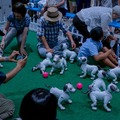 第一回「aiboファンミーティング」レポート　中が丸見えの「スケルトンaibo」の初展示も　#aibo