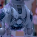 第一回「aiboファンミーティング」レポート　中が丸見えの「スケルトンaibo」の初展示も　#aibo