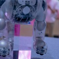 第一回「aiboファンミーティング」レポート　中が丸見えの「スケルトンaibo」の初展示も　#aibo