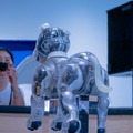 第一回「aiboファンミーティング」レポート　中が丸見えの「スケルトンaibo」の初展示も　#aibo