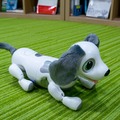 aiboよりやんちゃな犬型ロボット「ハロー！ズーマー ミニチュアダックス」タカラトミーが発売へ　価格は1万5千円