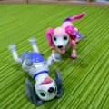aiboよりやんちゃな犬型ロボット「ハロー！ズーマー ミニチュアダックス」タカラトミーが発売へ　価格は1万5千円