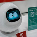 写真100枚を一挙公開「World Robot Summit 2018 / Japan Robot Week 2018」フォトレポート！ by ロボスタカメラ部