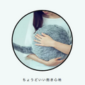 注目のしっぽロボット「Qoobo」がついに店頭販売開始　Loftや東急ハンズなど