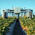 イチゴを摘む巨大ロボット！NVIDIAのGPUとAI関連技術を使ったスマート農業のロボット自動化事例