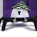 プログラミングができるクモ型ロボット「HEXA」、Kibidangoにて資金調達開始　目標額は520万円
