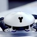 プログラミングができるクモ型ロボット「HEXA」、Kibidangoにて資金調達開始　目標額は520万円