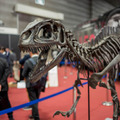 写真100枚を一挙公開「DOCOMO Open House 2018」フォトレポート！ by ロボスタカメラ部