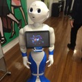 Pepper_GMO.ver