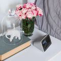 2019年「Googleアシスタント」の11個の最新トピックス #CES2019