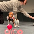 【速報】aiboの新色「チョコエディション」が発売へ! 2月14日までに購入で「しっぽ」もプレゼント