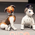 ソニー、「aibo」の見守り機能や上位プランを発表! 今年夏からAPIも一般公開へ